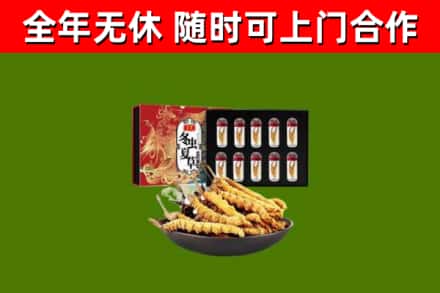 驻马店回收冬虫夏草价格